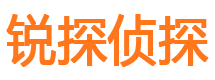 察隅侦探公司